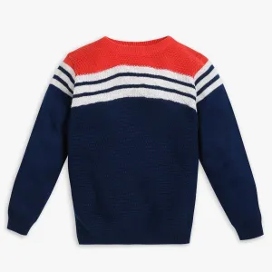 Boys Regular Fit Solid Sweater